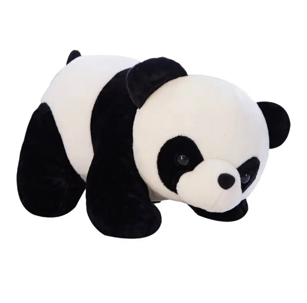 Panda Plush