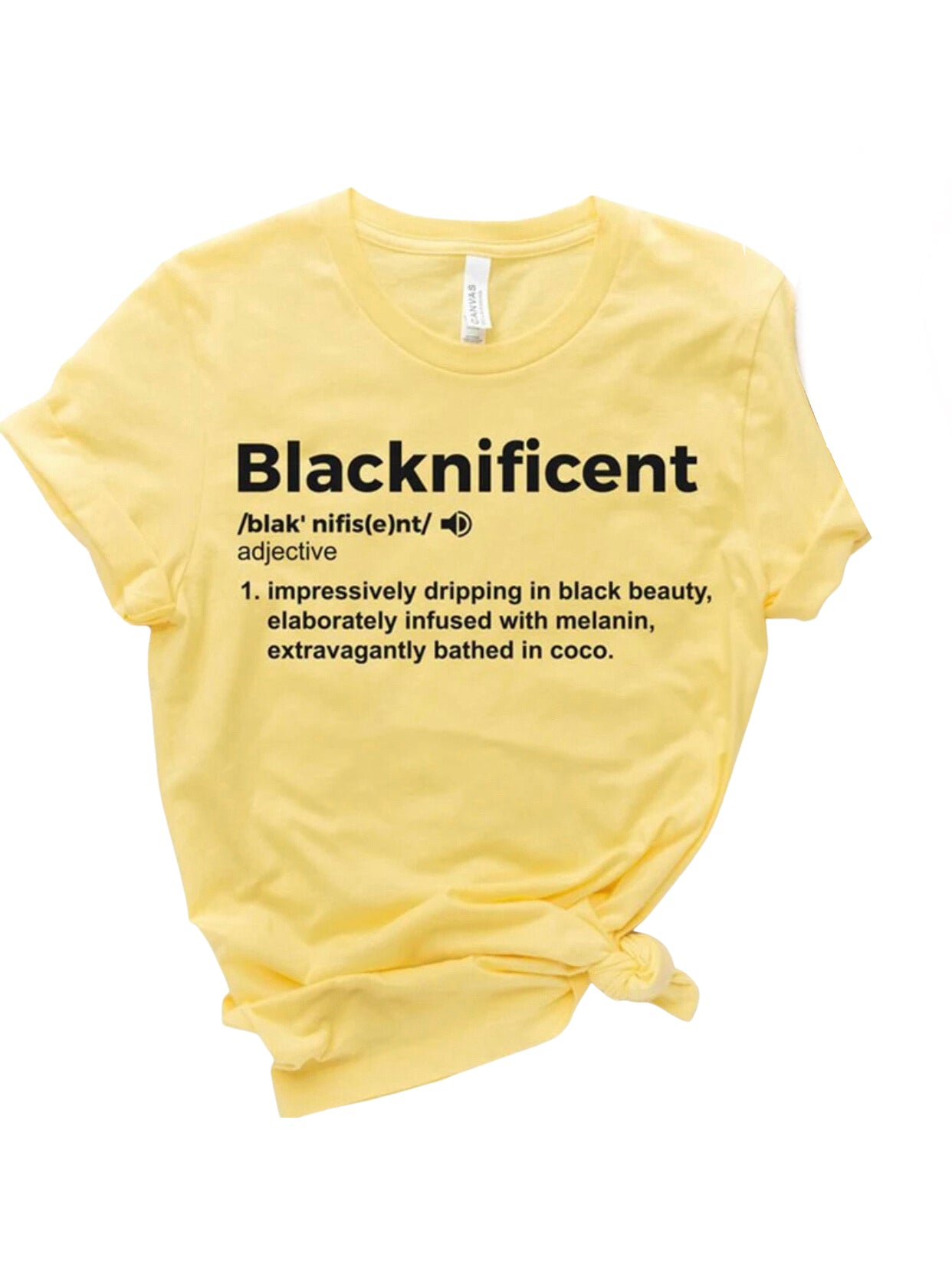 Blacknificent Womens T-Shirt