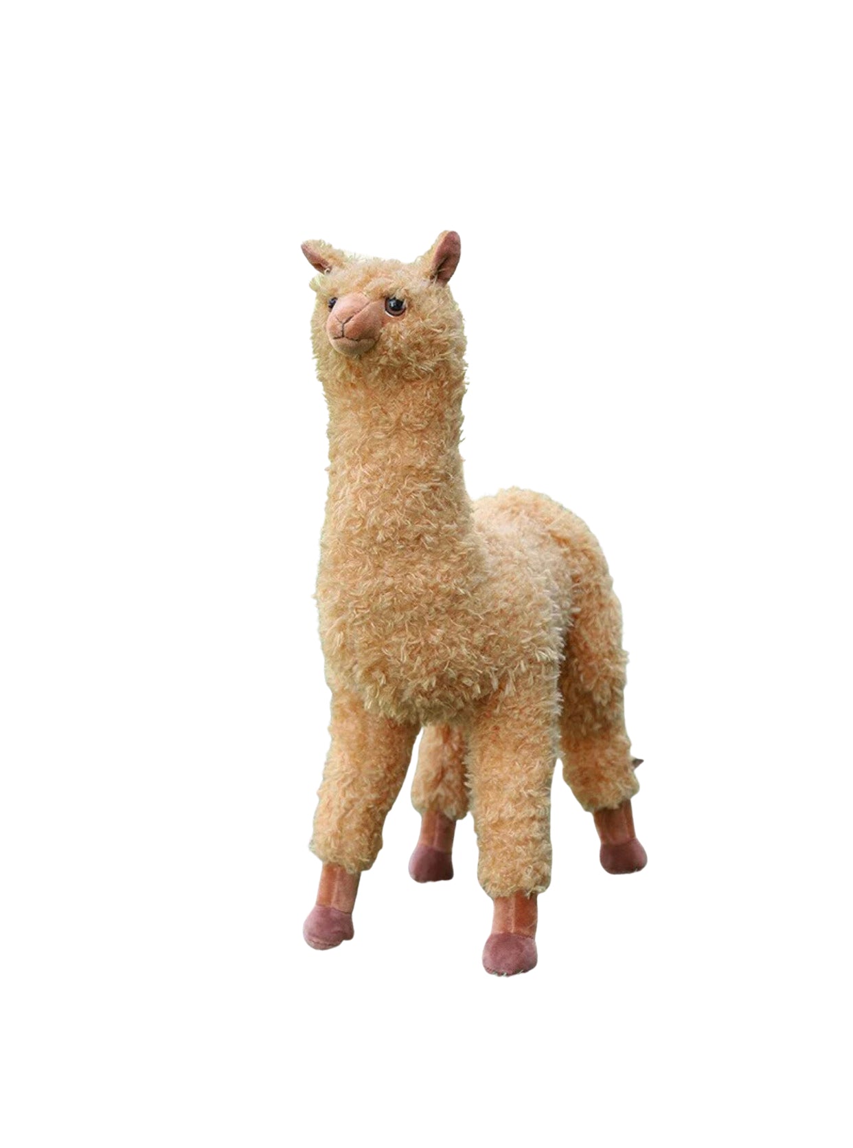 Alpaca Plush Toys